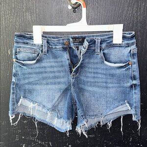Judy Blue Frayed Hem Jean Shorts